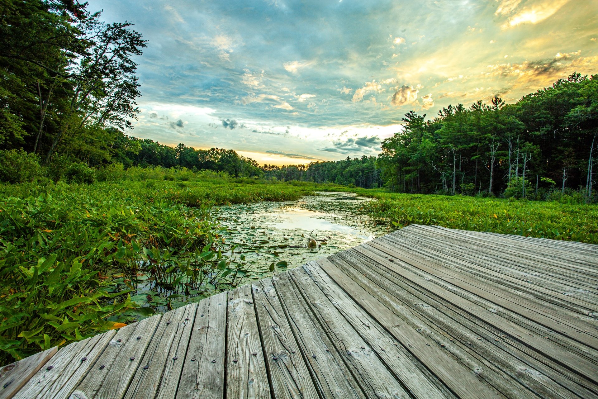 point boardwalk at with marsh and sun setting