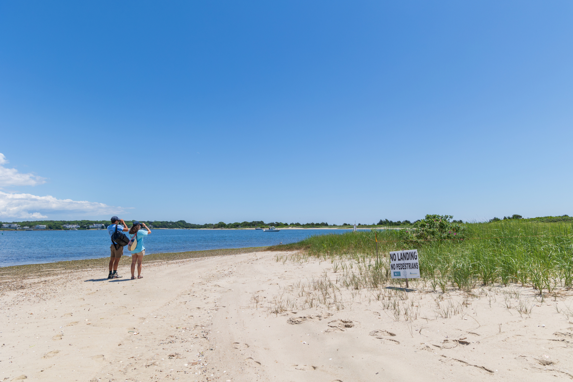 Two people looking through binoculars on beach with sign