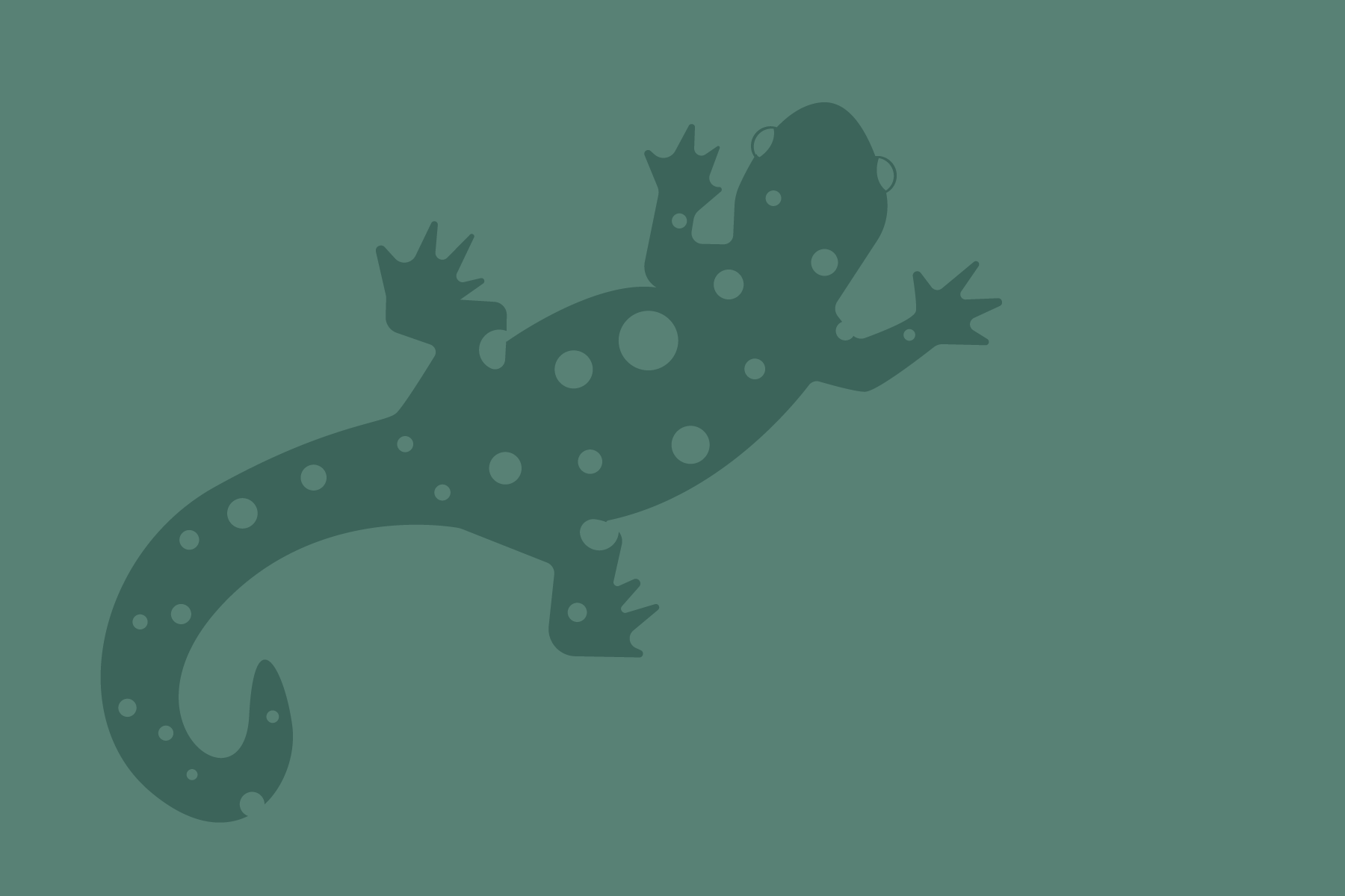 Spotted Salamander two tone graphic