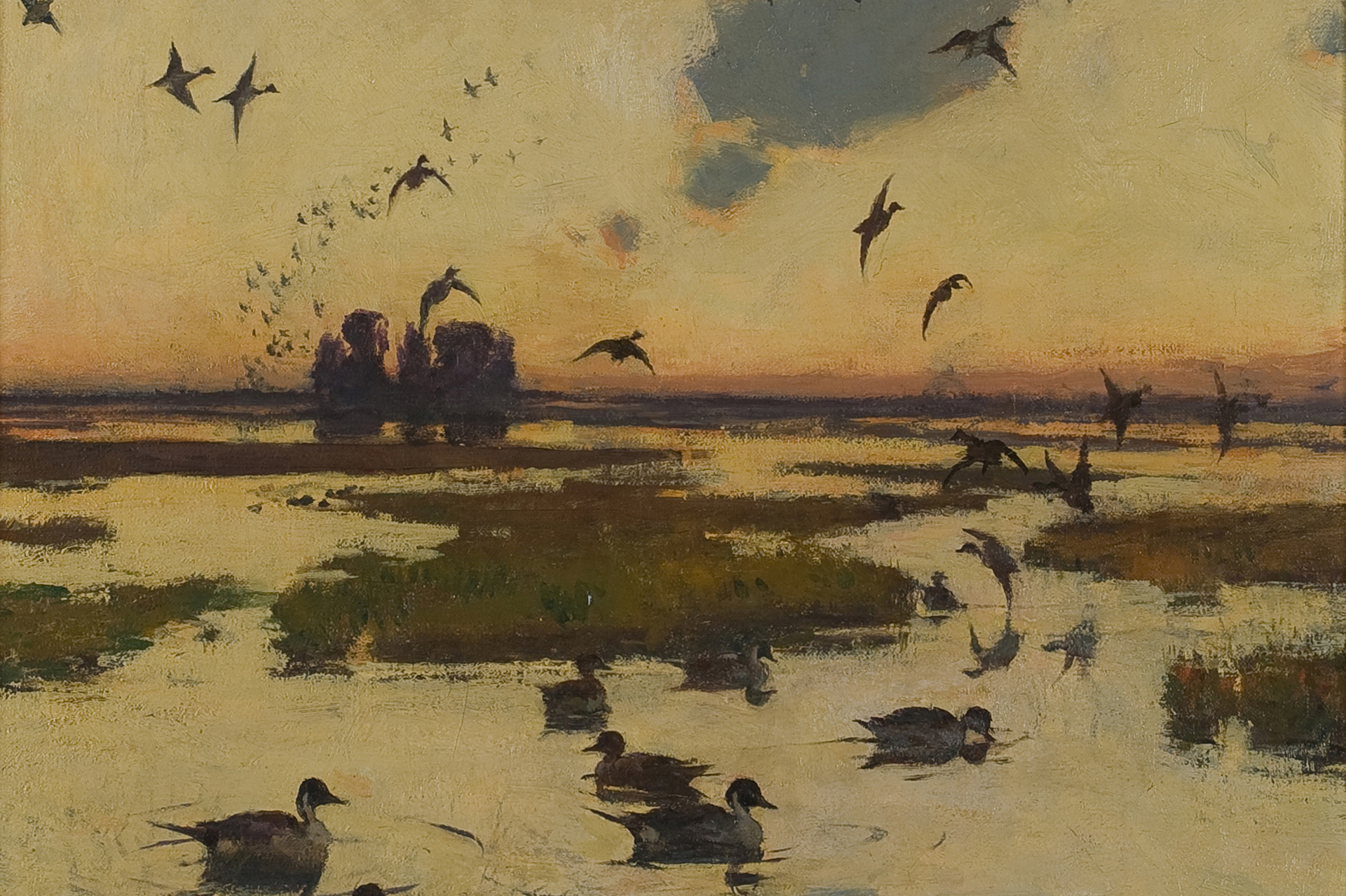 painting of marsh at sunset with ducks in water and birds flying overhead