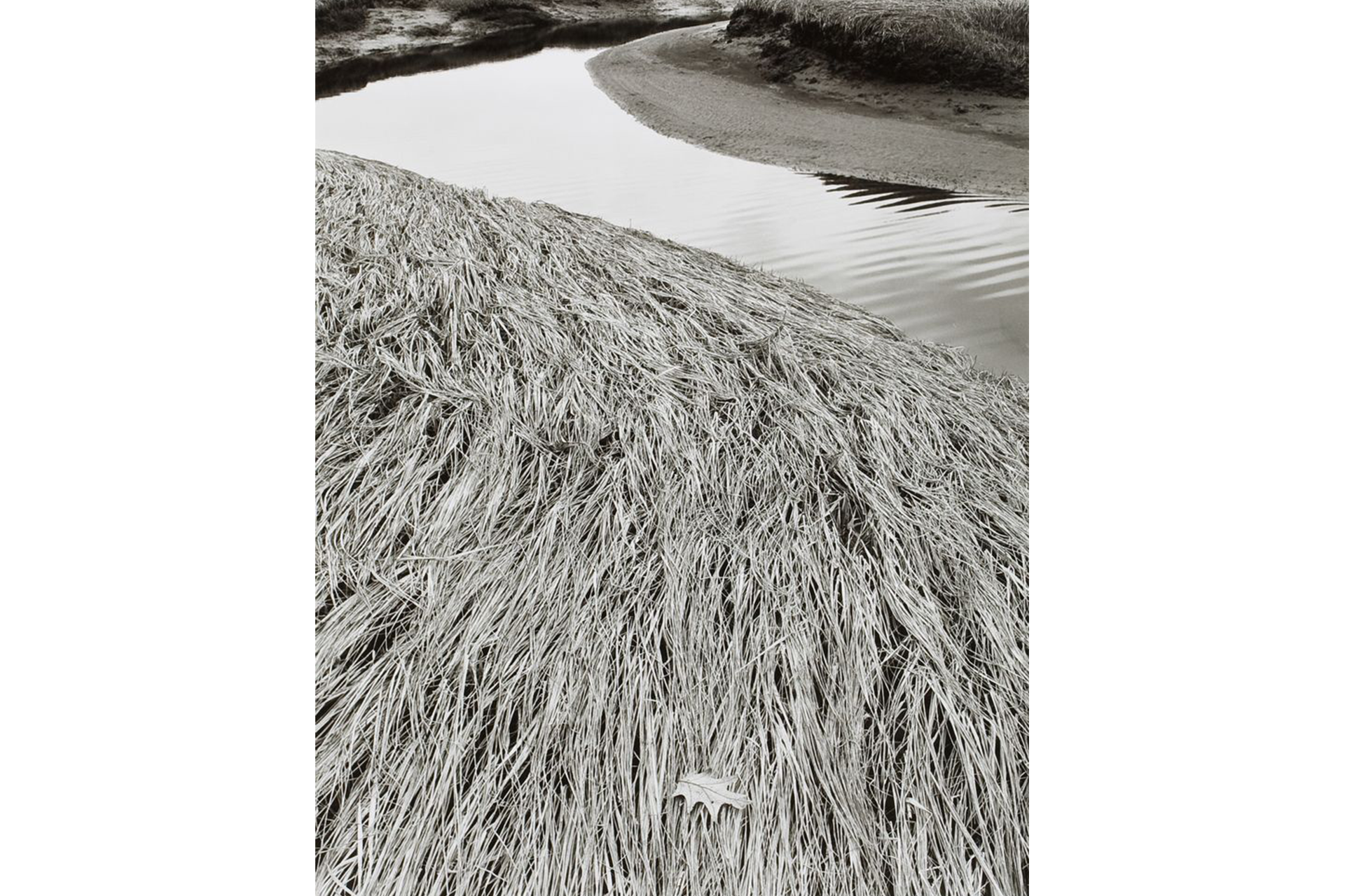 Tidal Marsh by D. Monnelly