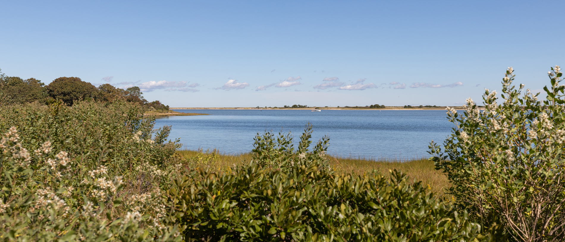 View of the pond at Felix Neck