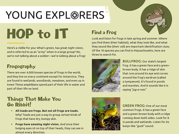 Young Explorers - Hop to It activity sheet