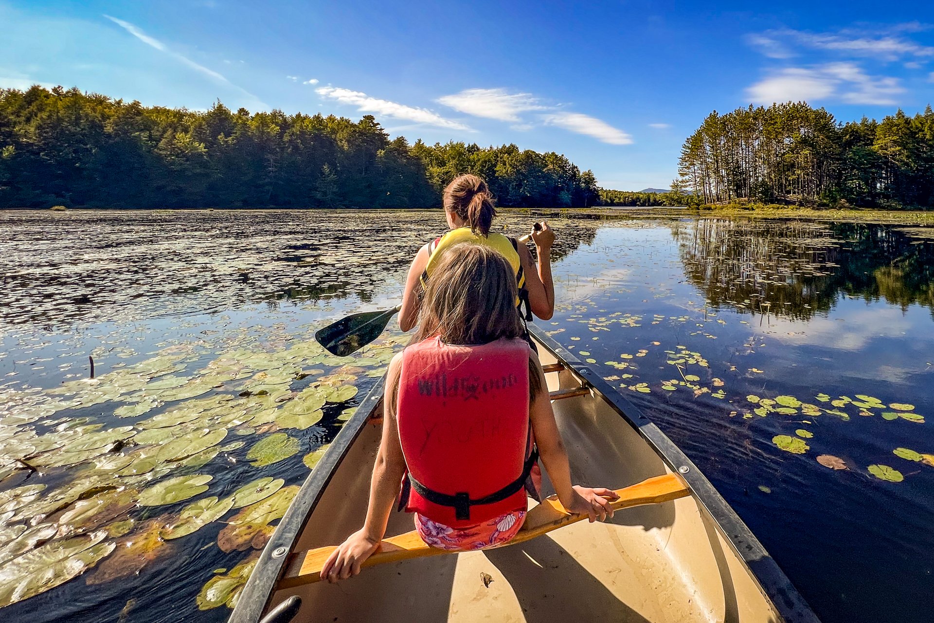 A photo taken from the back of a canoe, with two campers seated in the center and front of the canoe with their backs to the camera, wearing lifejackets that say "Wildwood" on the back. The sky is blue and the boat is surrounded by lily pads and green forest.