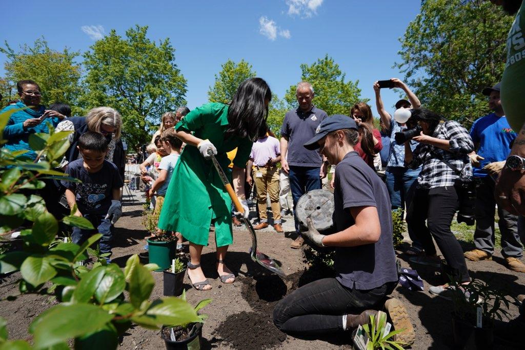 Mayor Michelle Wu planting a microforest at Boston Nature Center