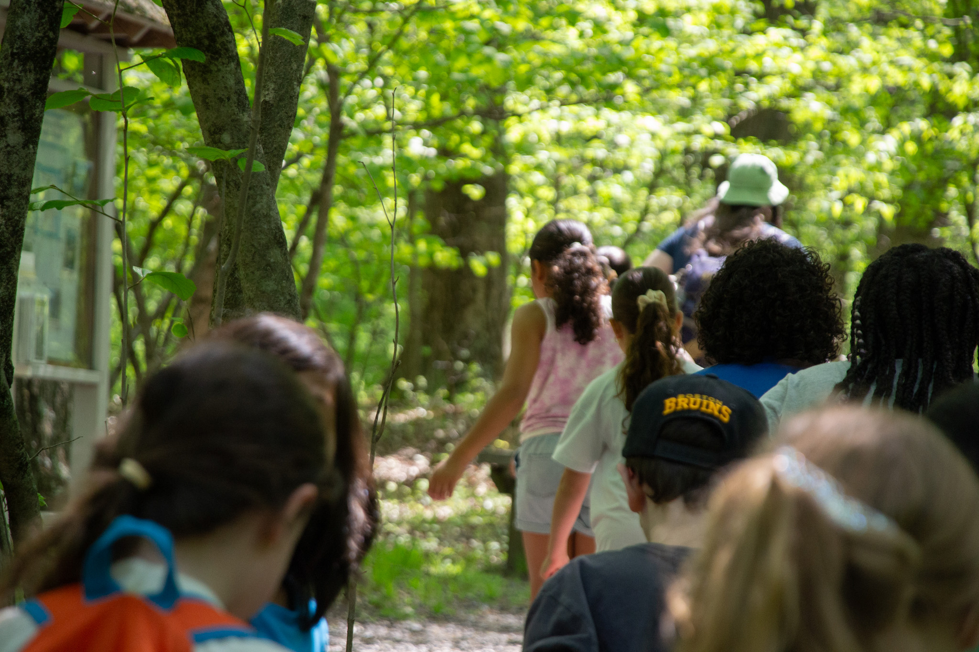 Kids walking in the woods in a line behind mass audubon educator