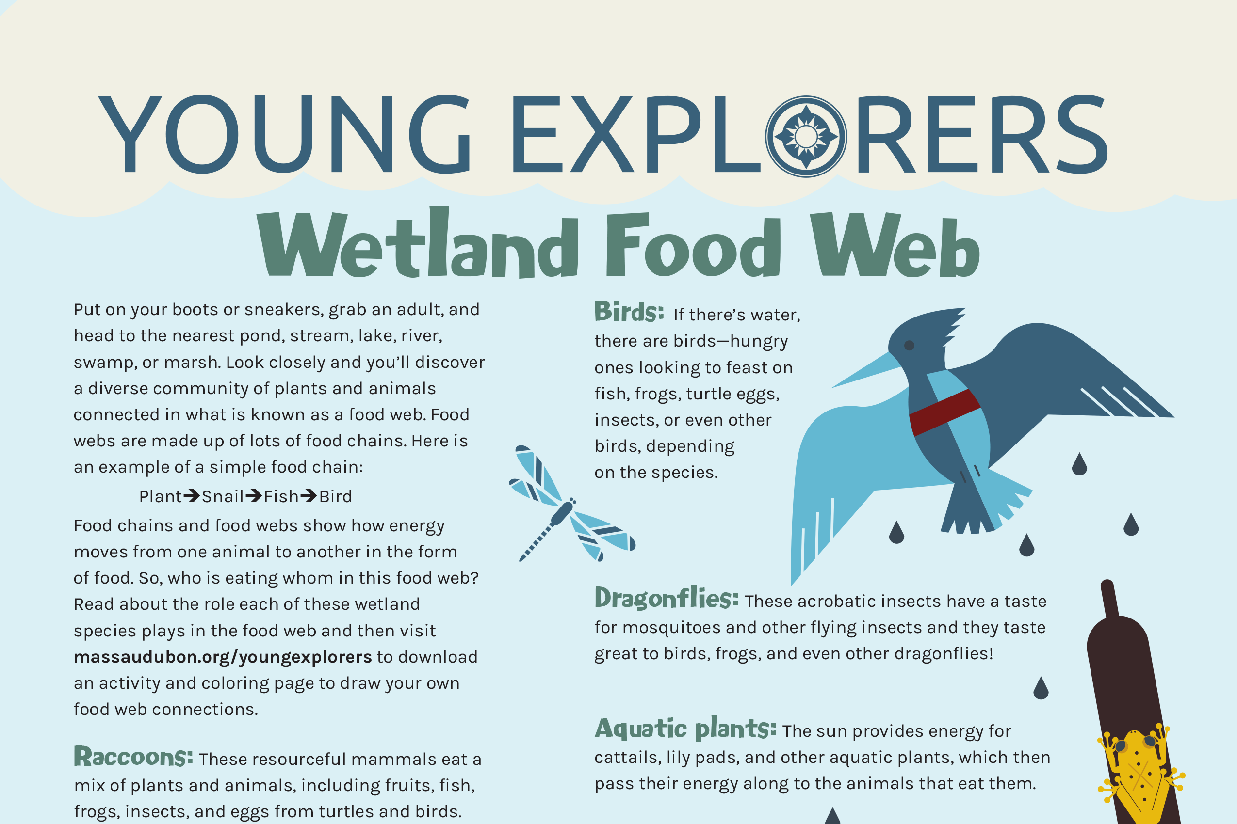 Preview of the Wetland Food Web activity sheet