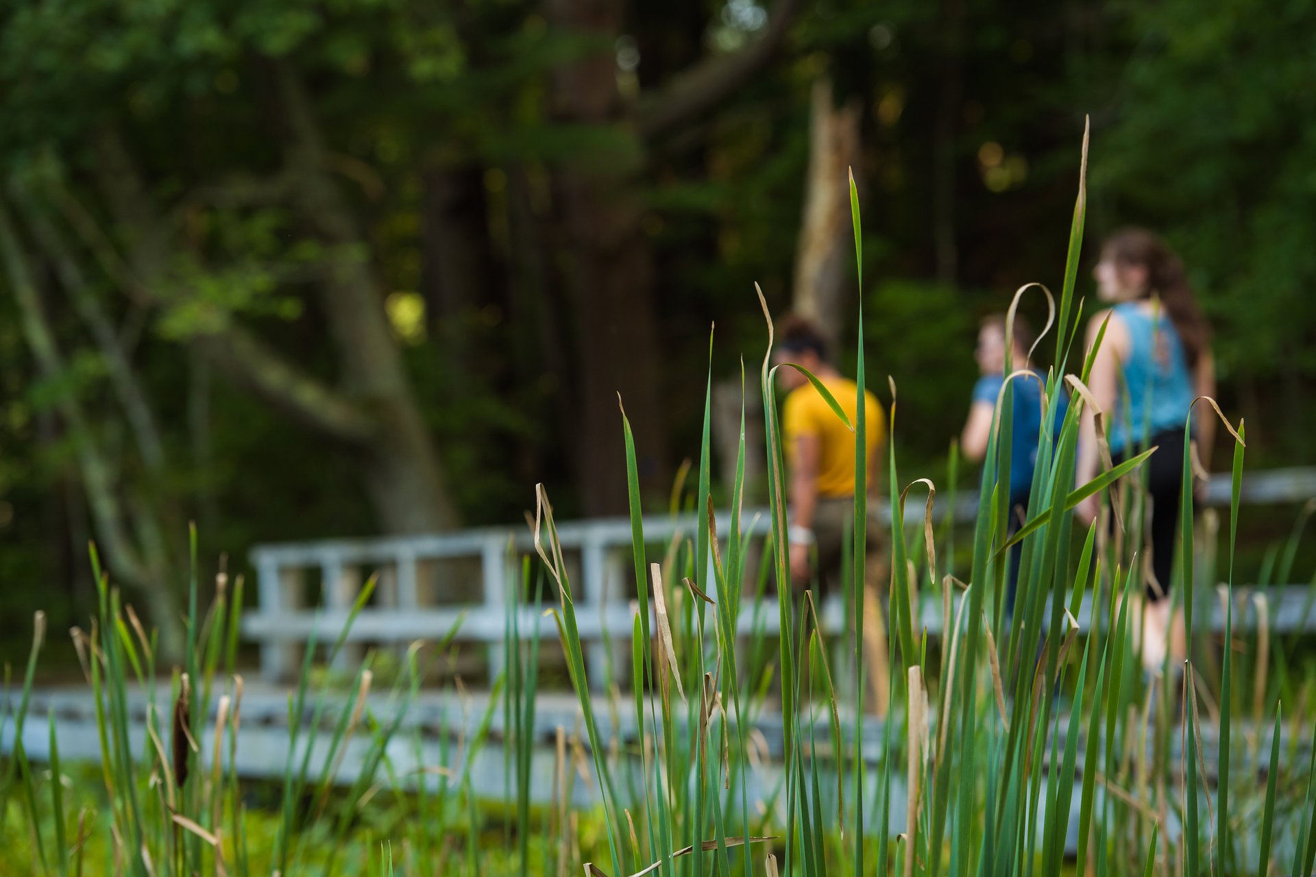 Three people blurred on boardwalk