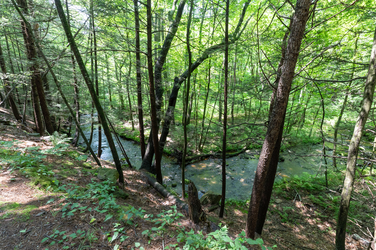 A bend in a rocky brook is u-shaped, with trees on both sides of the bank.
