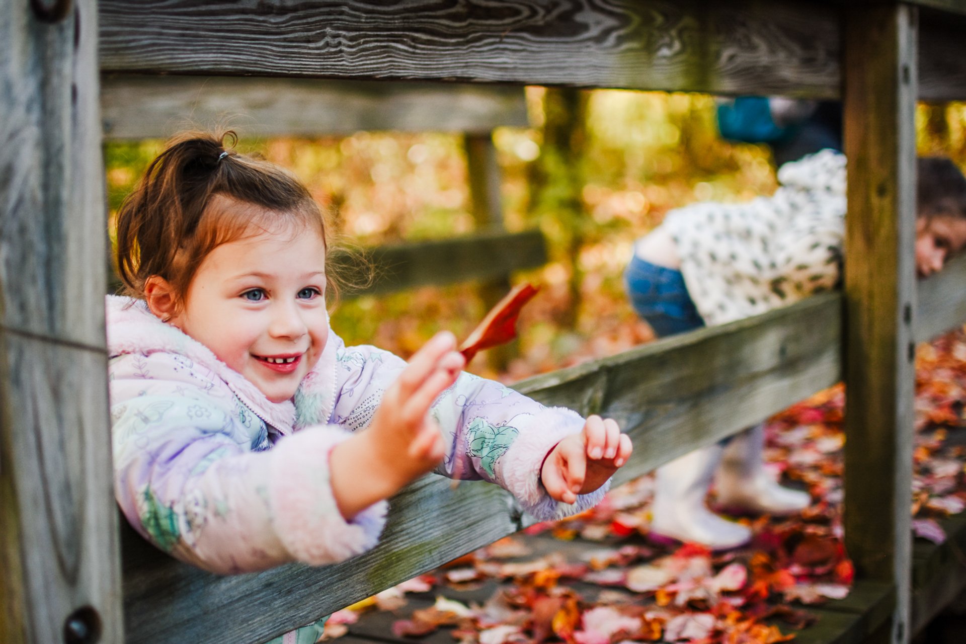 A preschool-age child leans between the rails of a wooden fence, smiling and reaching for a falling leaf. Colorful leaves on the ground suggest it is autumn.