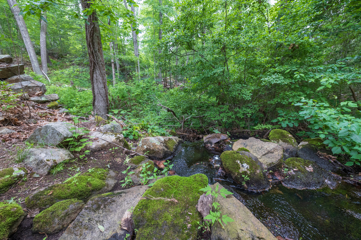 Rocky stream along a trail