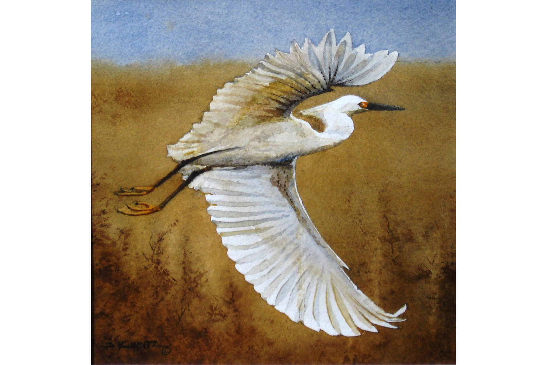 Watercolor painting depicting an egret in flight