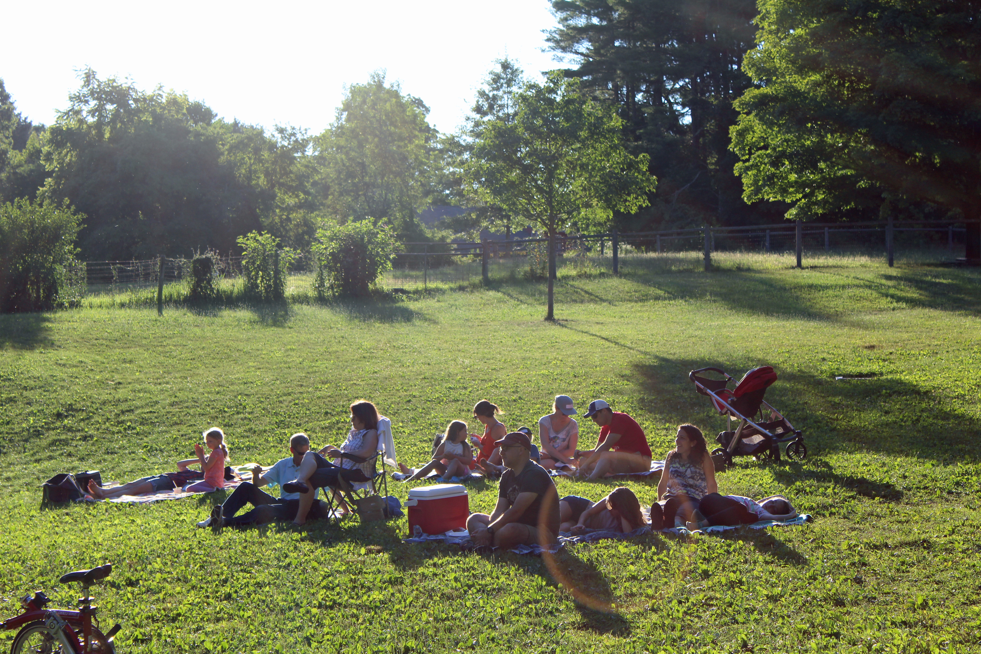 Small group of concert attendees sitting on a grassy field