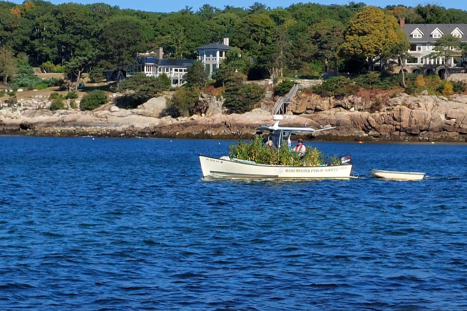 Manchester-by-the-Sea's harbormaster on a boat bringing trees to Kettle Island
