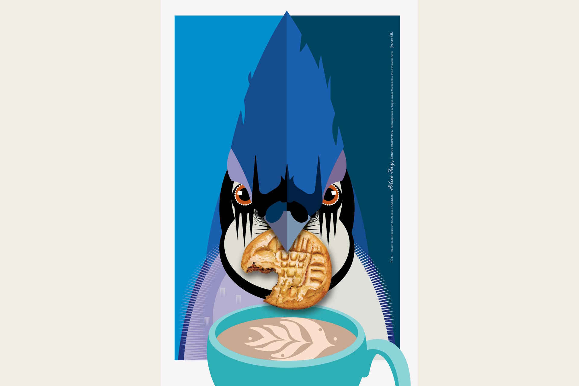 Illustrated Blue Jay dipping a cookie into a latte