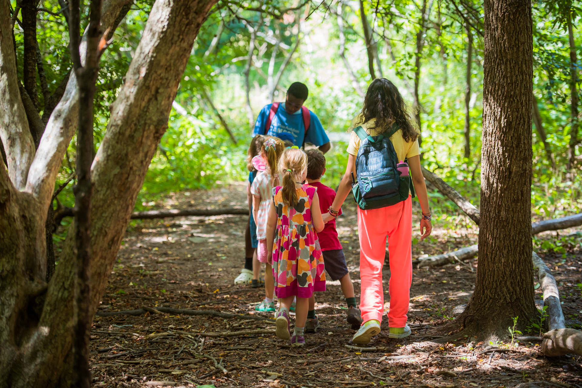 A group of campers at Boston Nature Center Camp and their counselors walk along a shady trail on a hike