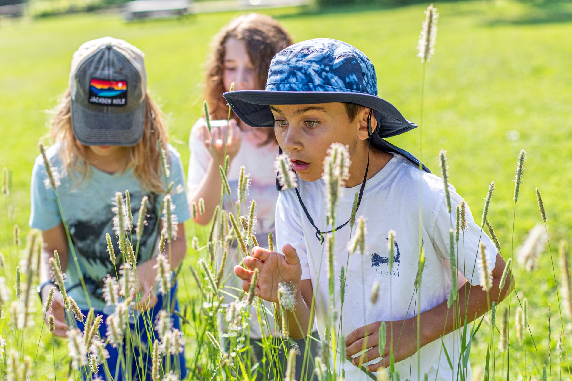 Three campers at Arcadia Nature Camp peer closely at tall grass at the edge of a meadow, looking for insects