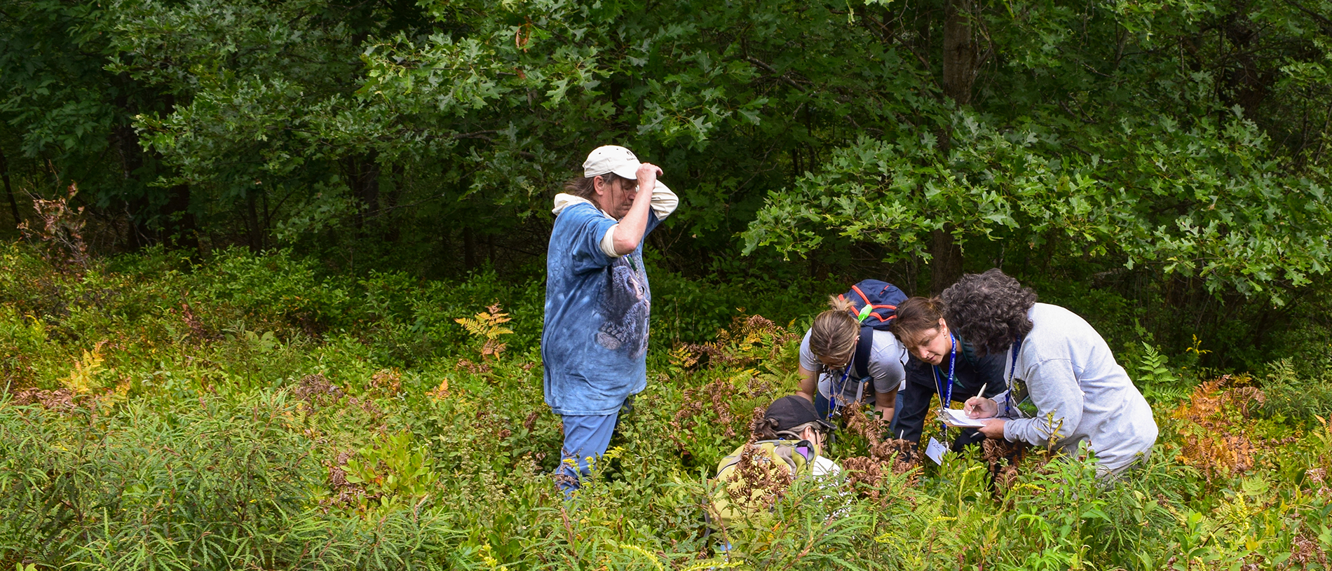 Five adults in the field examining something.