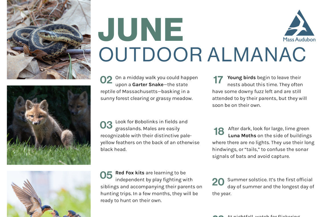 preview of June 2025 Outdoor Almanac