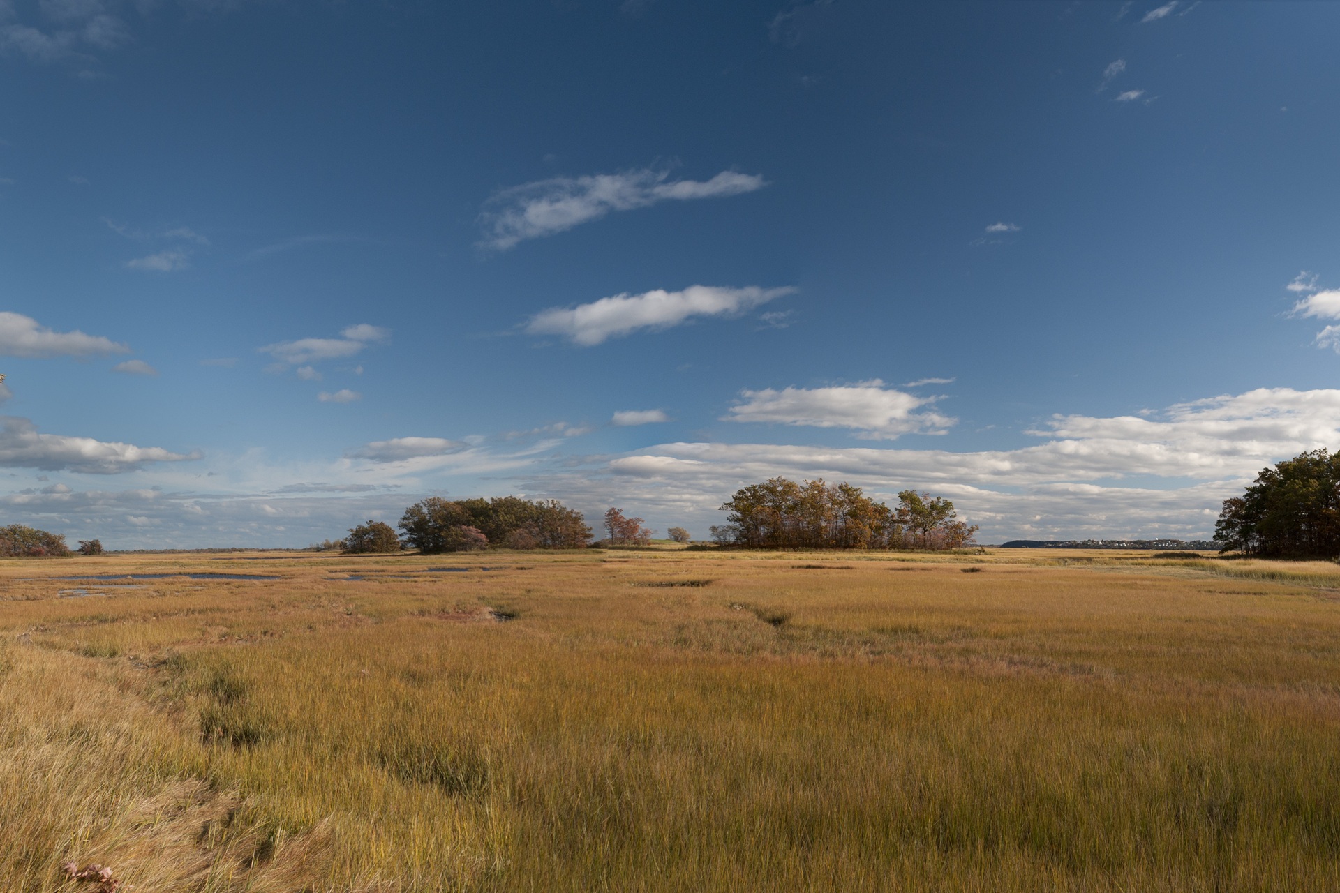 Rough Meadows Marsh