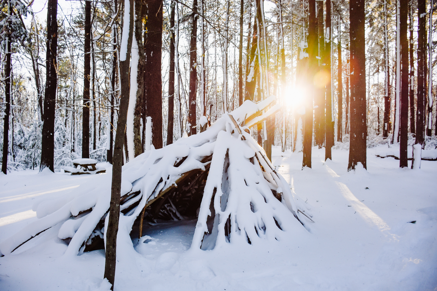 snowy fort in woods