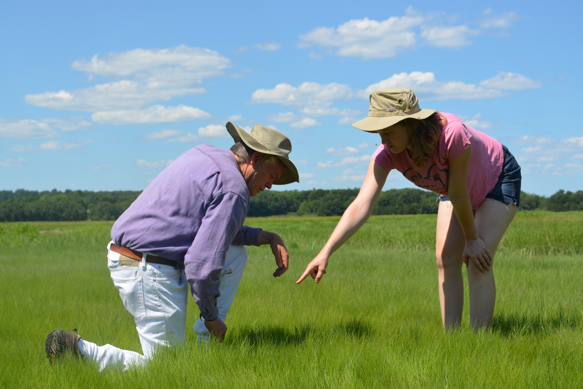 Two people in tan sun hats in a grassy marsh. One is one their knee looking into the grass, while the other is bent over and pointing.