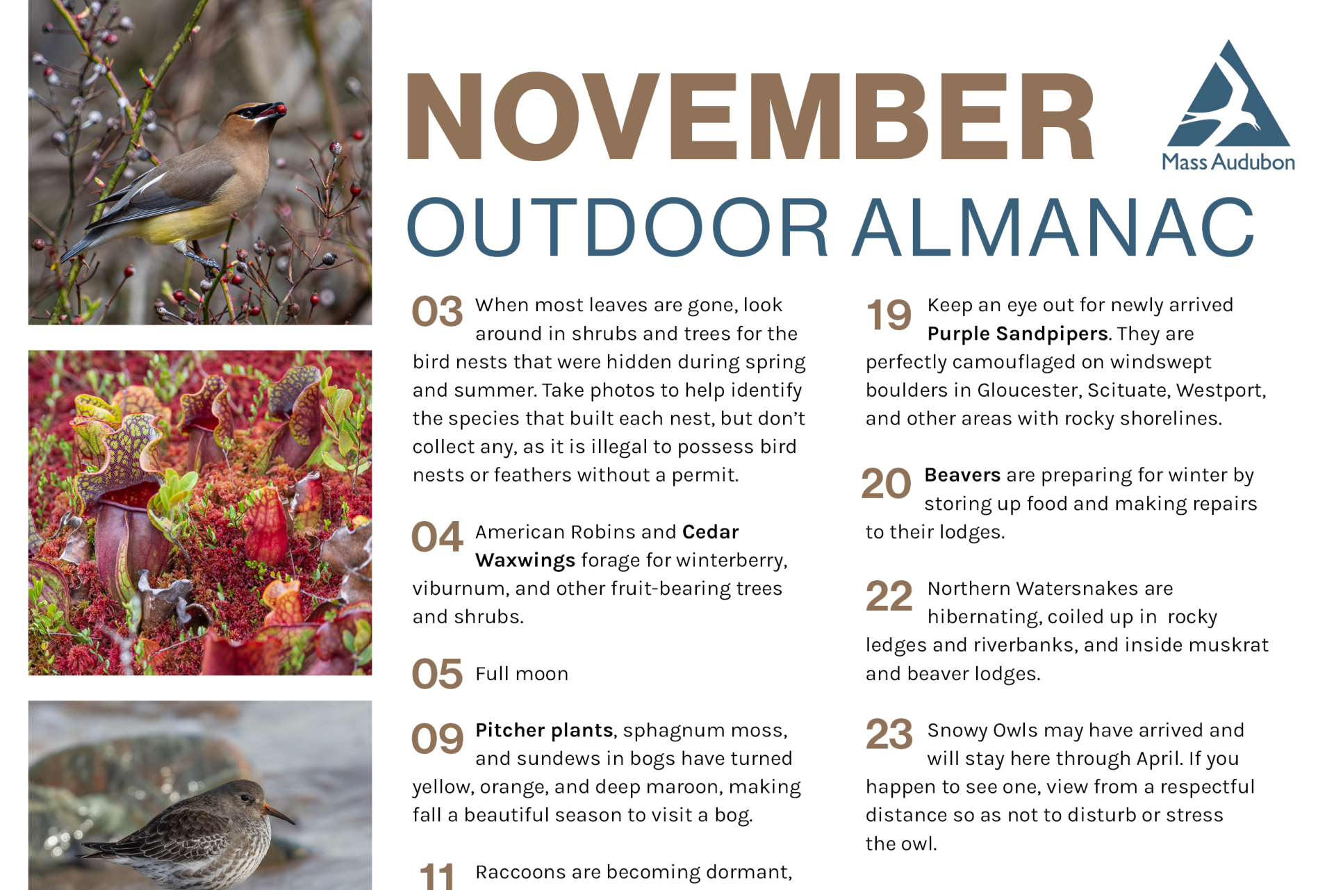 Preview of November 2025 Outdoor Almanac
