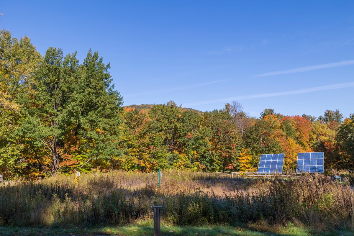 Two ground solar panels in a tall grassy cleaning, surrounded by trees with green, yellow, and orange fall foliage.