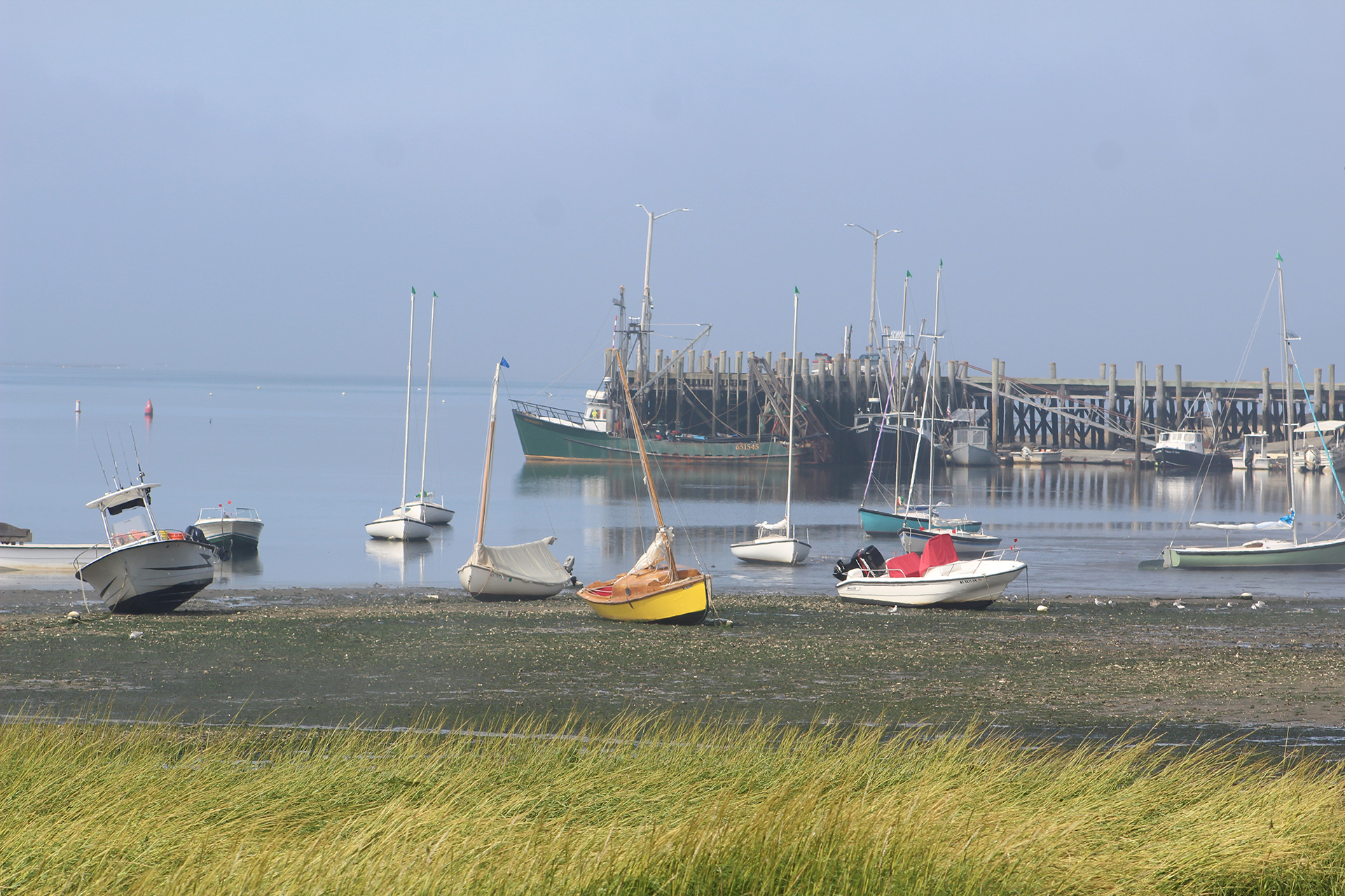Boats in Wellfleet Harbor at low tide