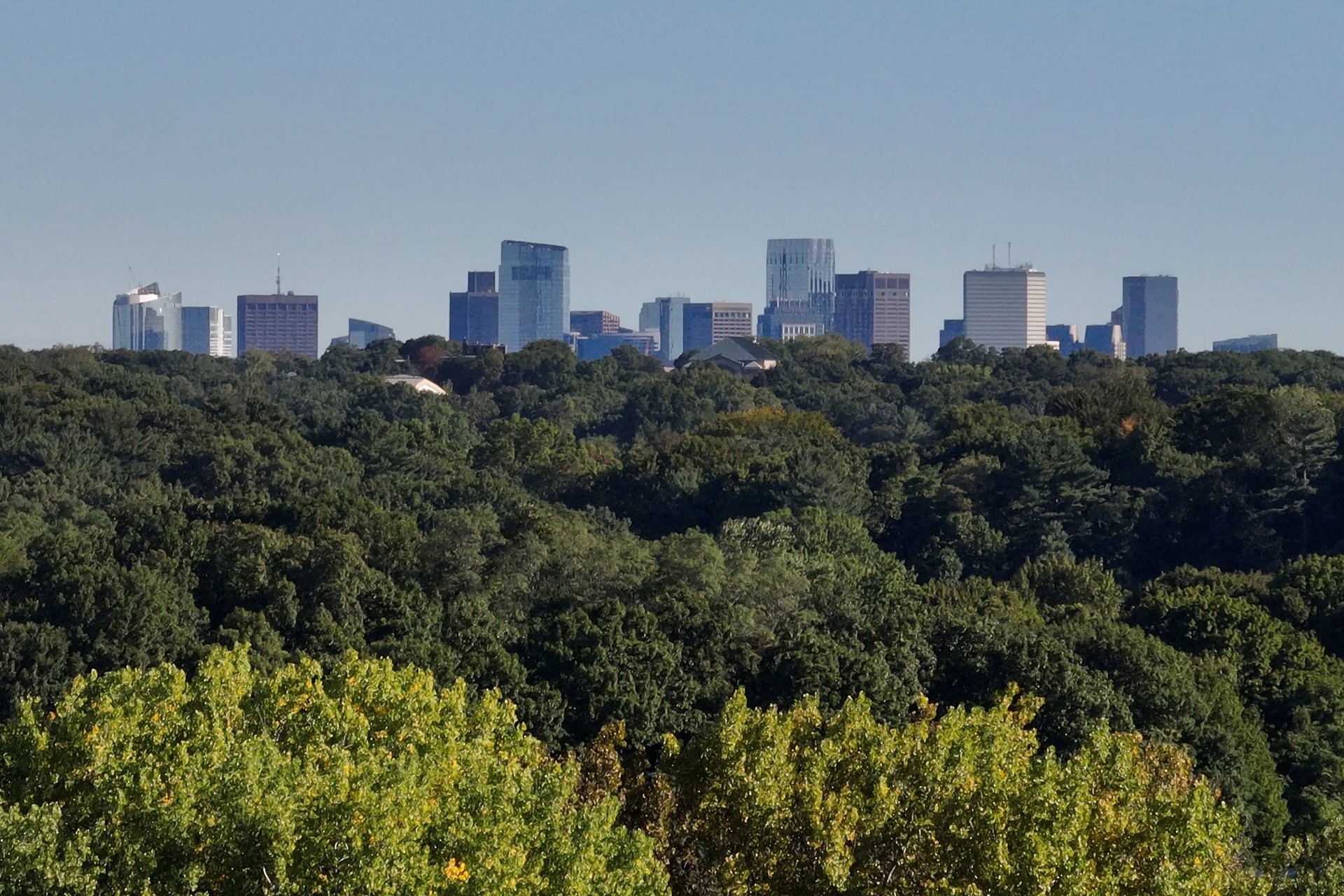 Green trees with Boston Skyline