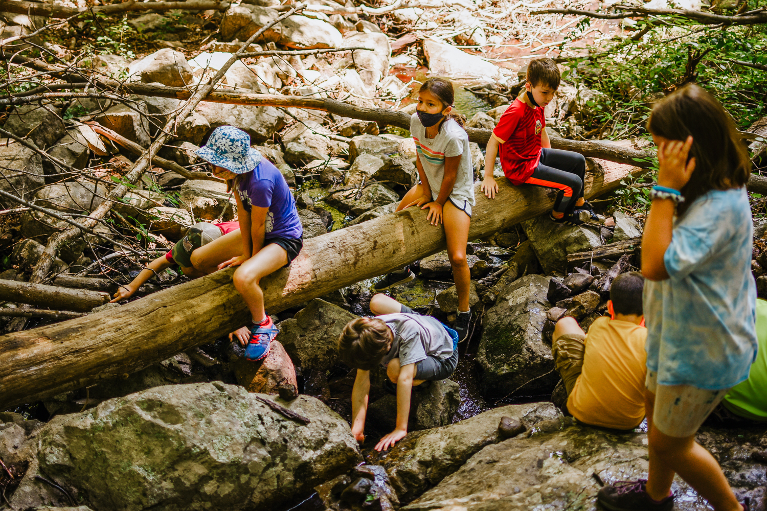 A group of campers climbs a fallen tree trunk in a dry streambed at Moose Hill Nature Camp