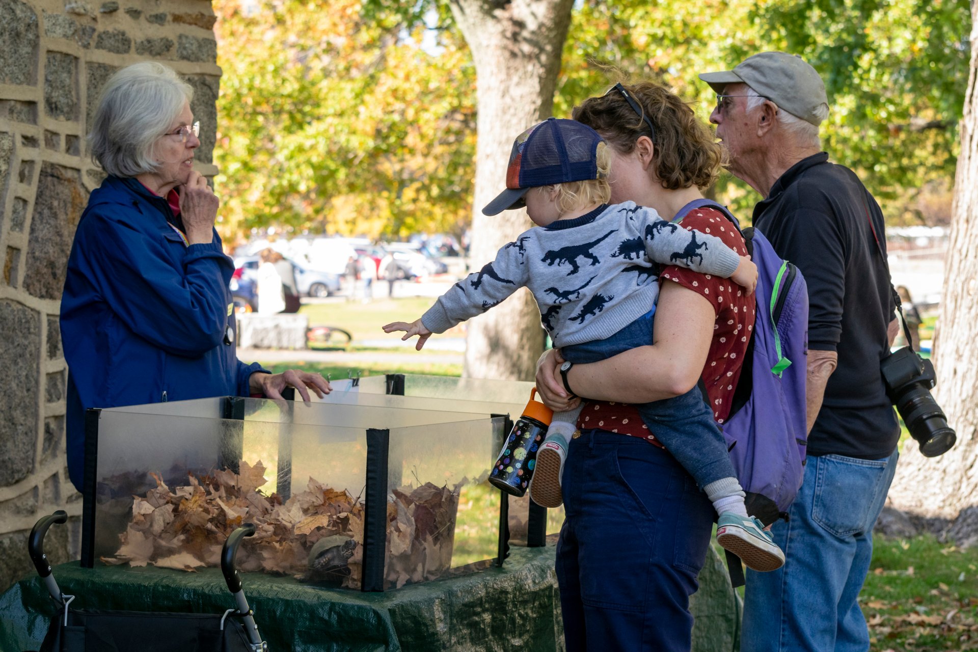 Toddler in a grey dinosaur sweatshirt being help by a woman in a red polka-dot shirt looking into a clear box filled with leaves and a turtle. A woman in a blue shirt stands behind the box talking to another observer.