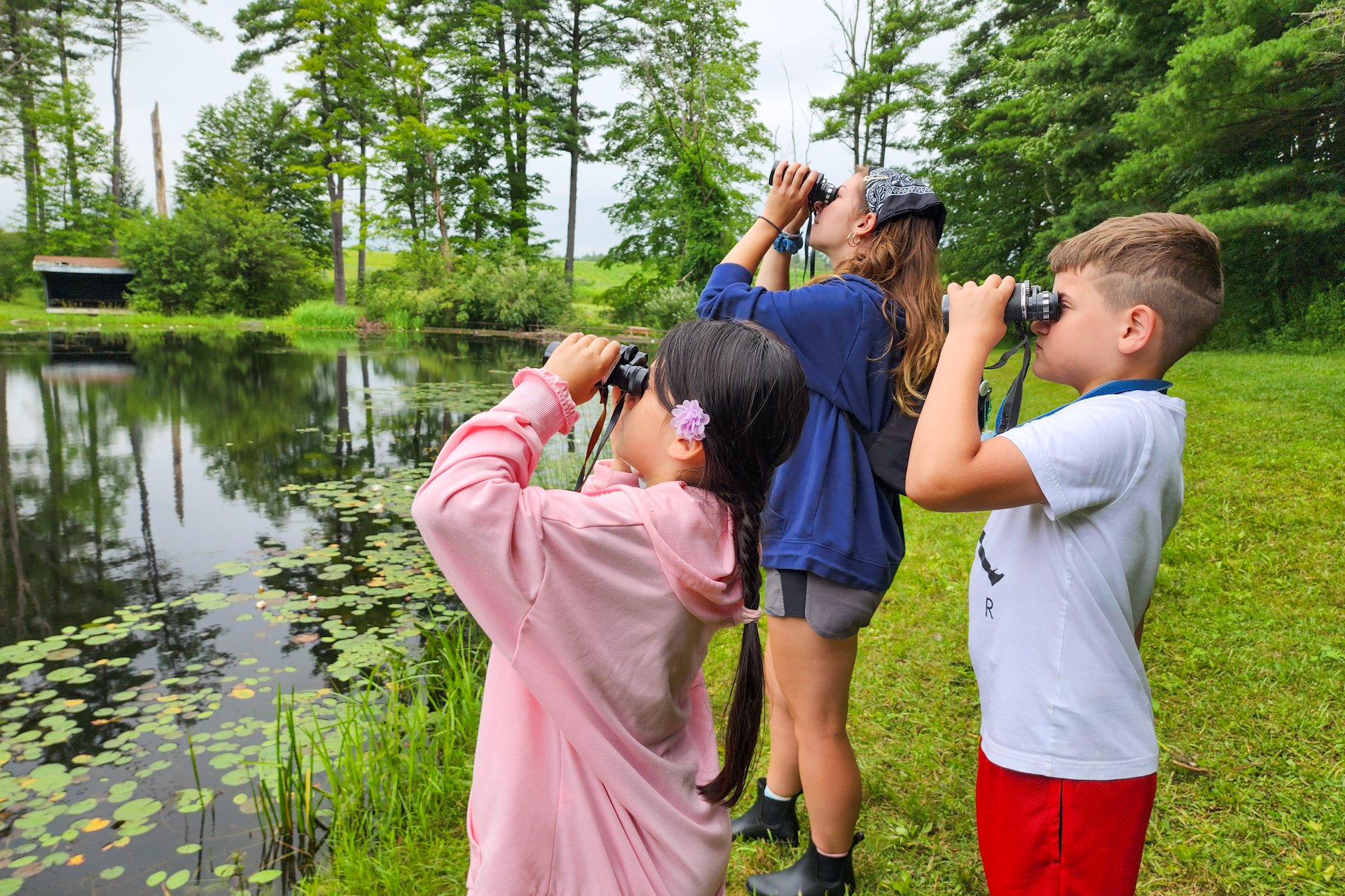 Two campers and a counselor at Berkshire Nature Camp at Pleasant Valley use binoculars to look for birds and other wildlife beside a freshwater pond