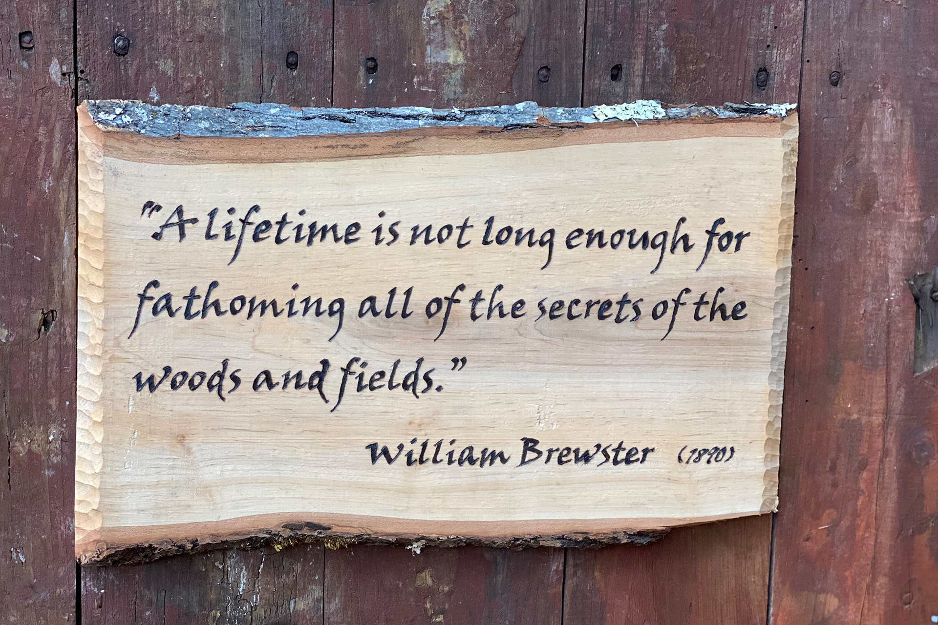 A wooden plaque reading "A lifetime is not long enough for fathoming all of the secrets of the woods and fields.", William Brewster (1880)