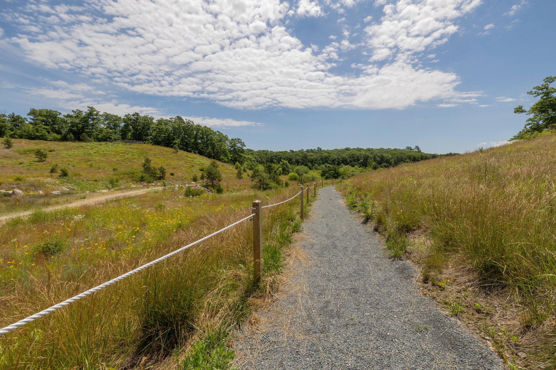 All Persons Trail at Tidmarsh