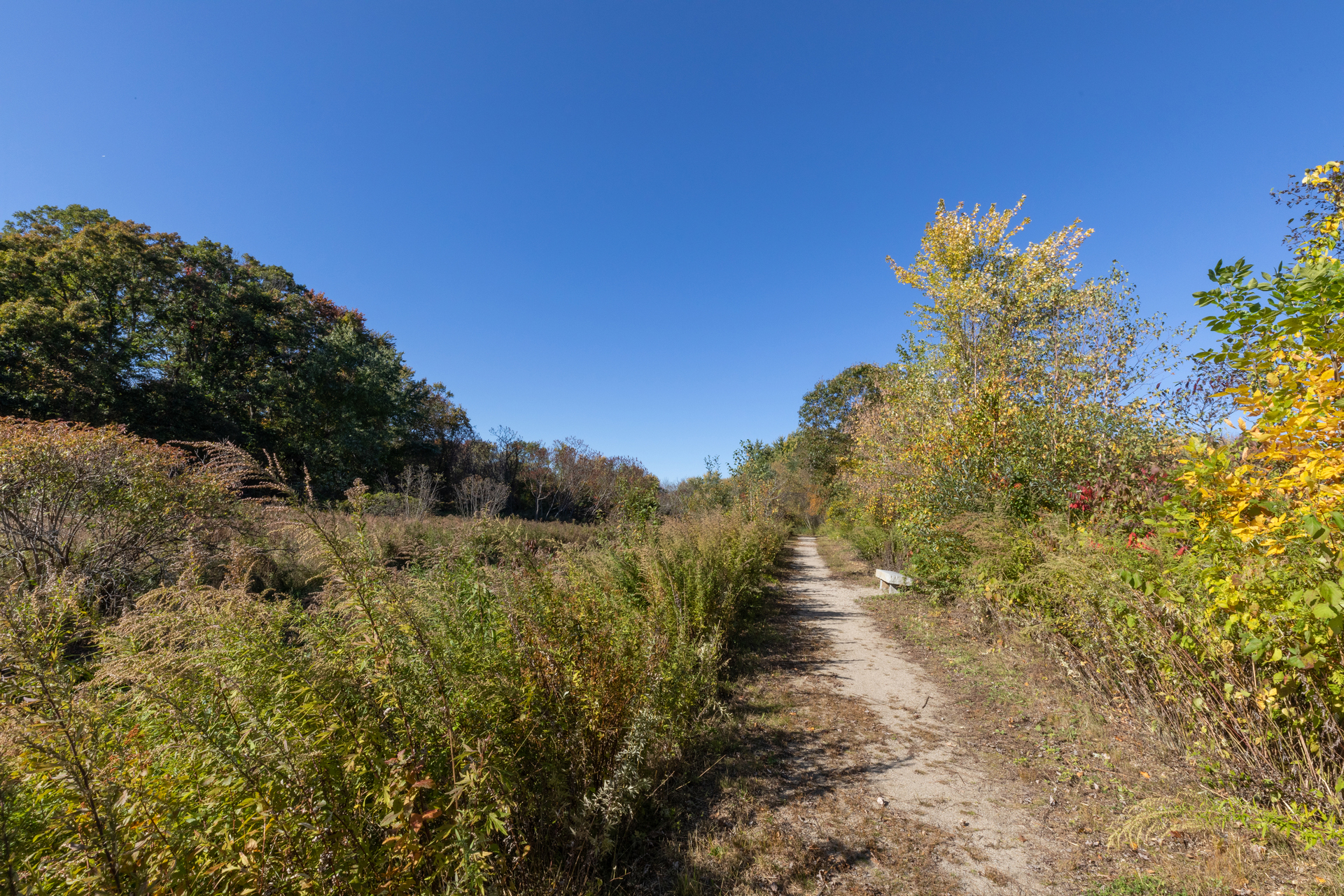 Trail at Broad Meadow Brook in Fall
