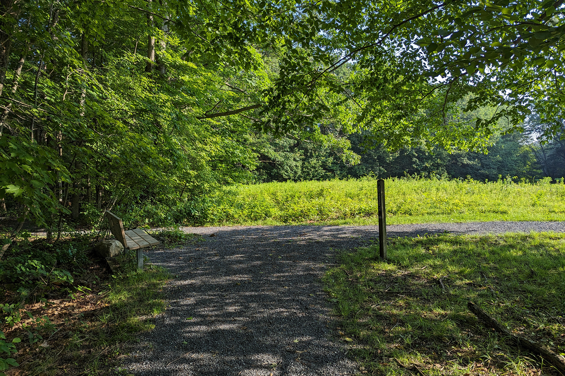 All Persons Trail leading out from a shaded area