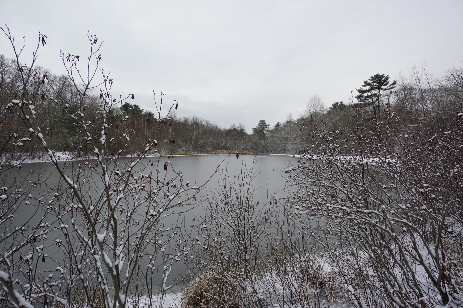View at tidmarsh of water overlook
