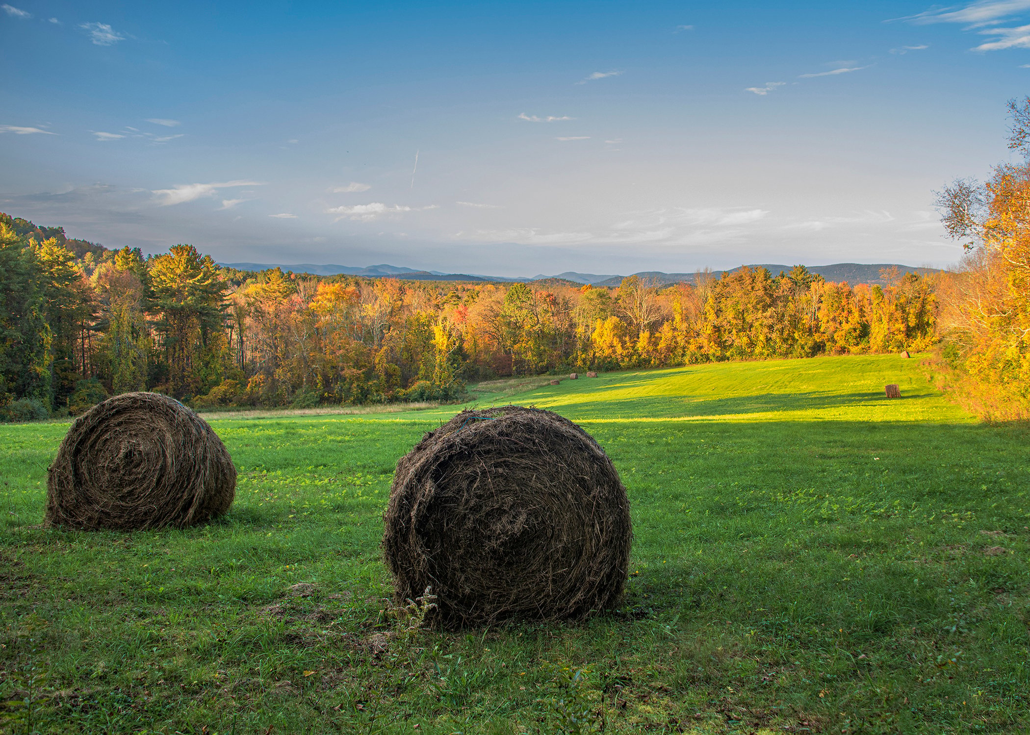 Two hay bales sitting on a green grassland surrounded by fall foliage.