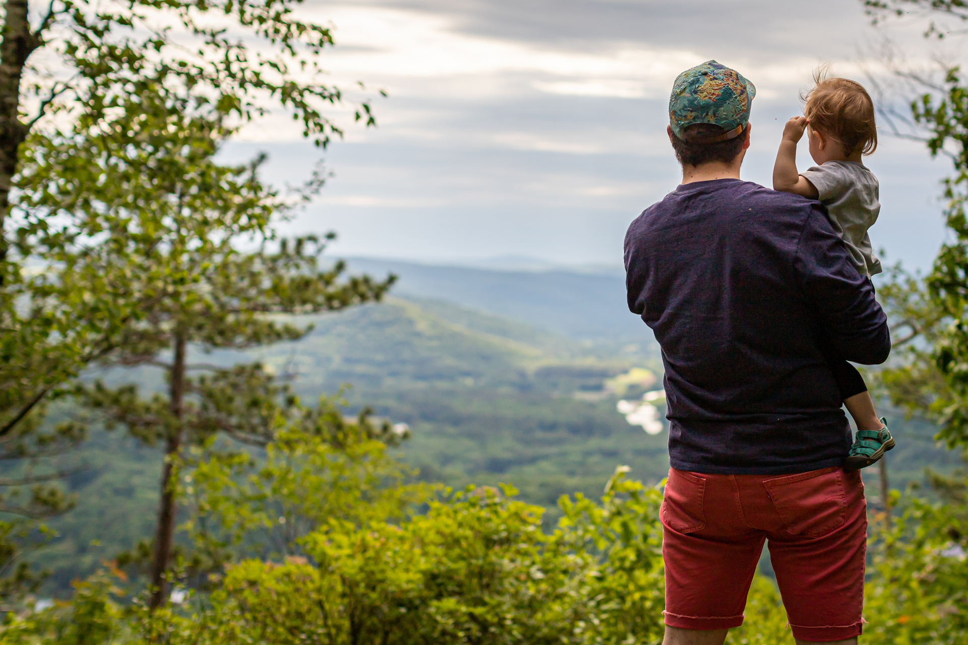 Father and child looking out over a clearing