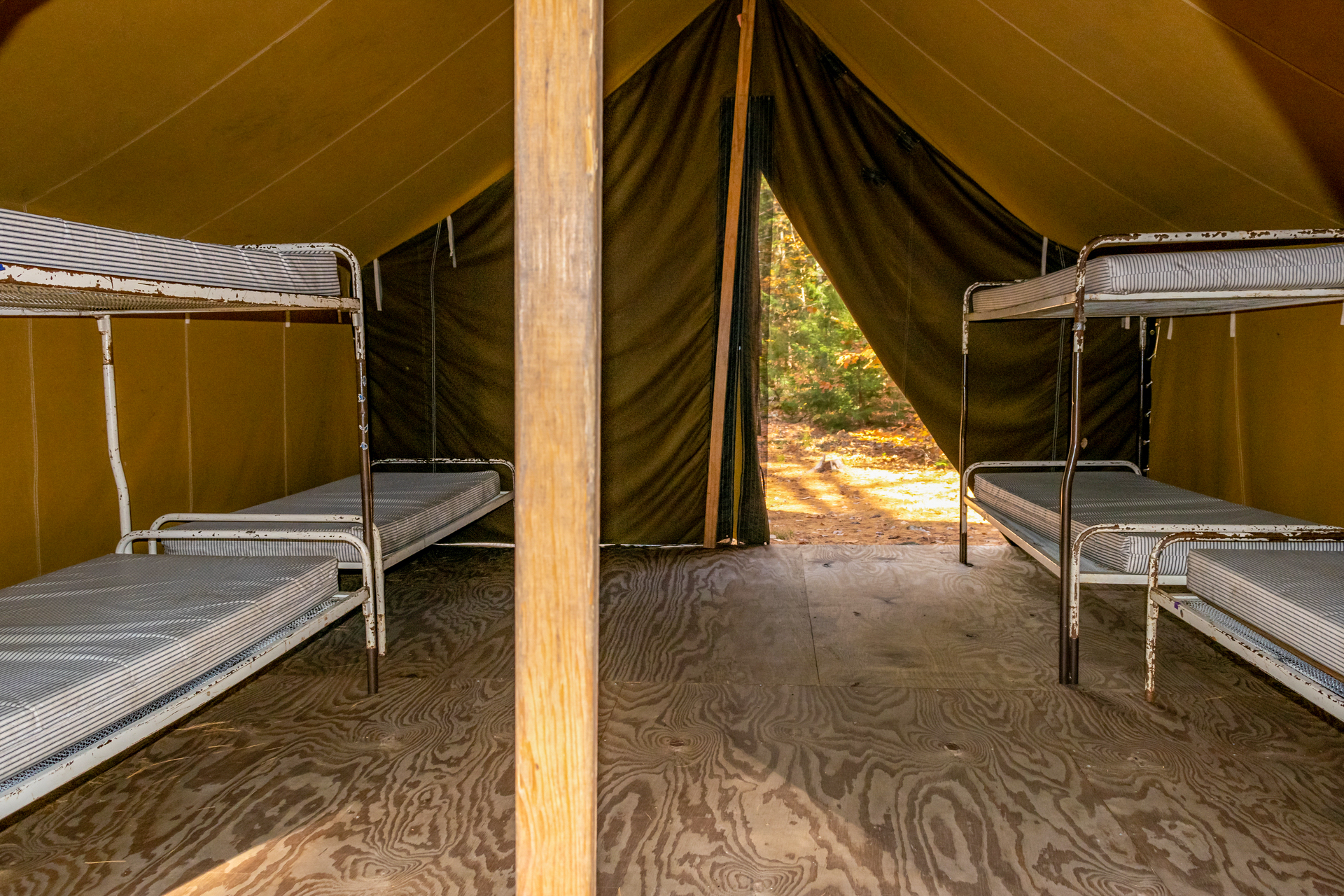 Interior of a platform tent at Wildwood Camp with steel bunk beds