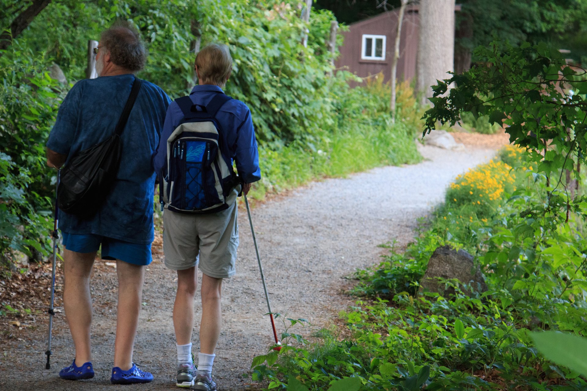 Two people with walking sticks face away from the camera, walking on a gravel path towards a building.