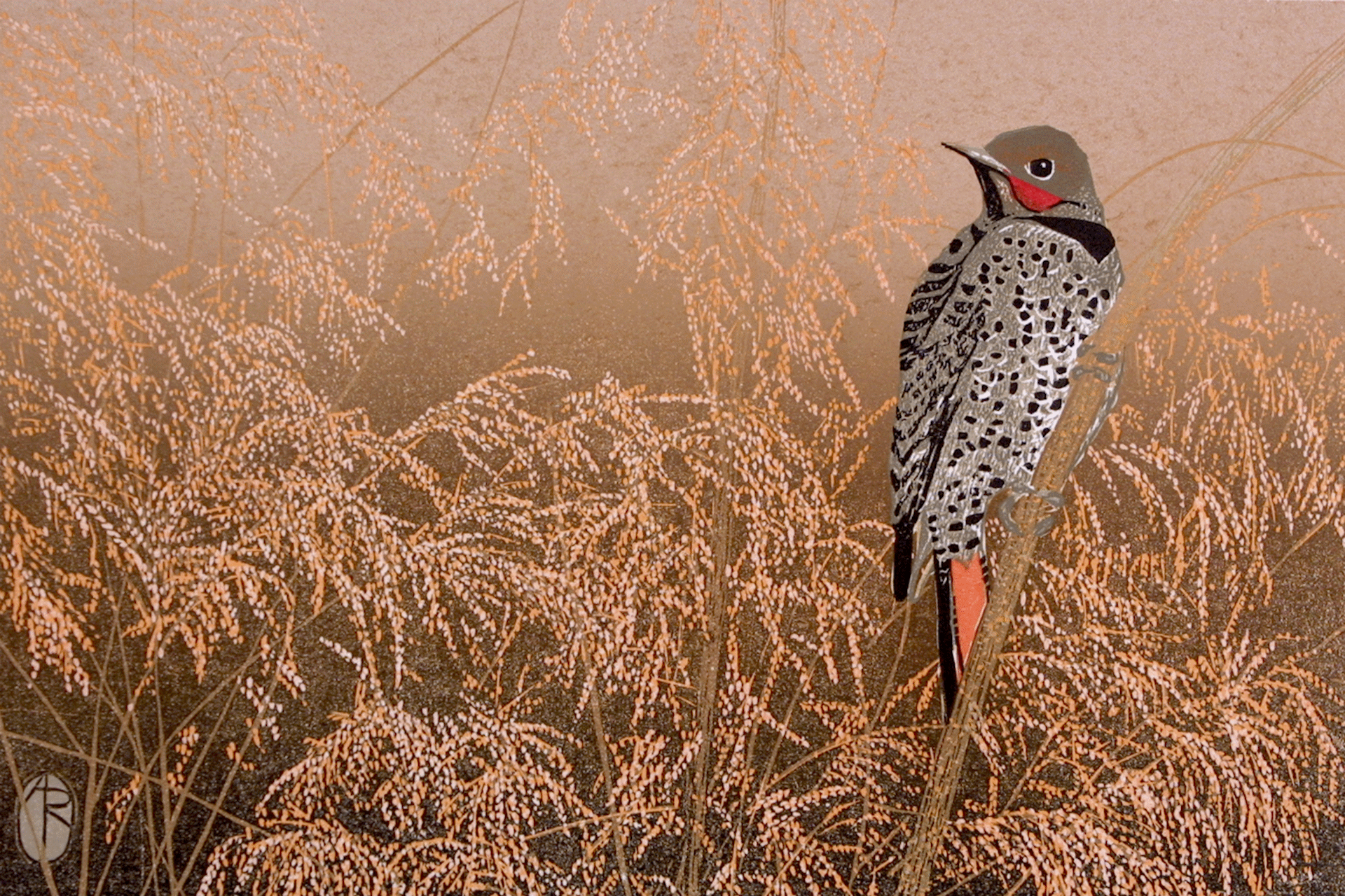 Reduction woodcut of a Northern Flicker perched in a field of tall grass