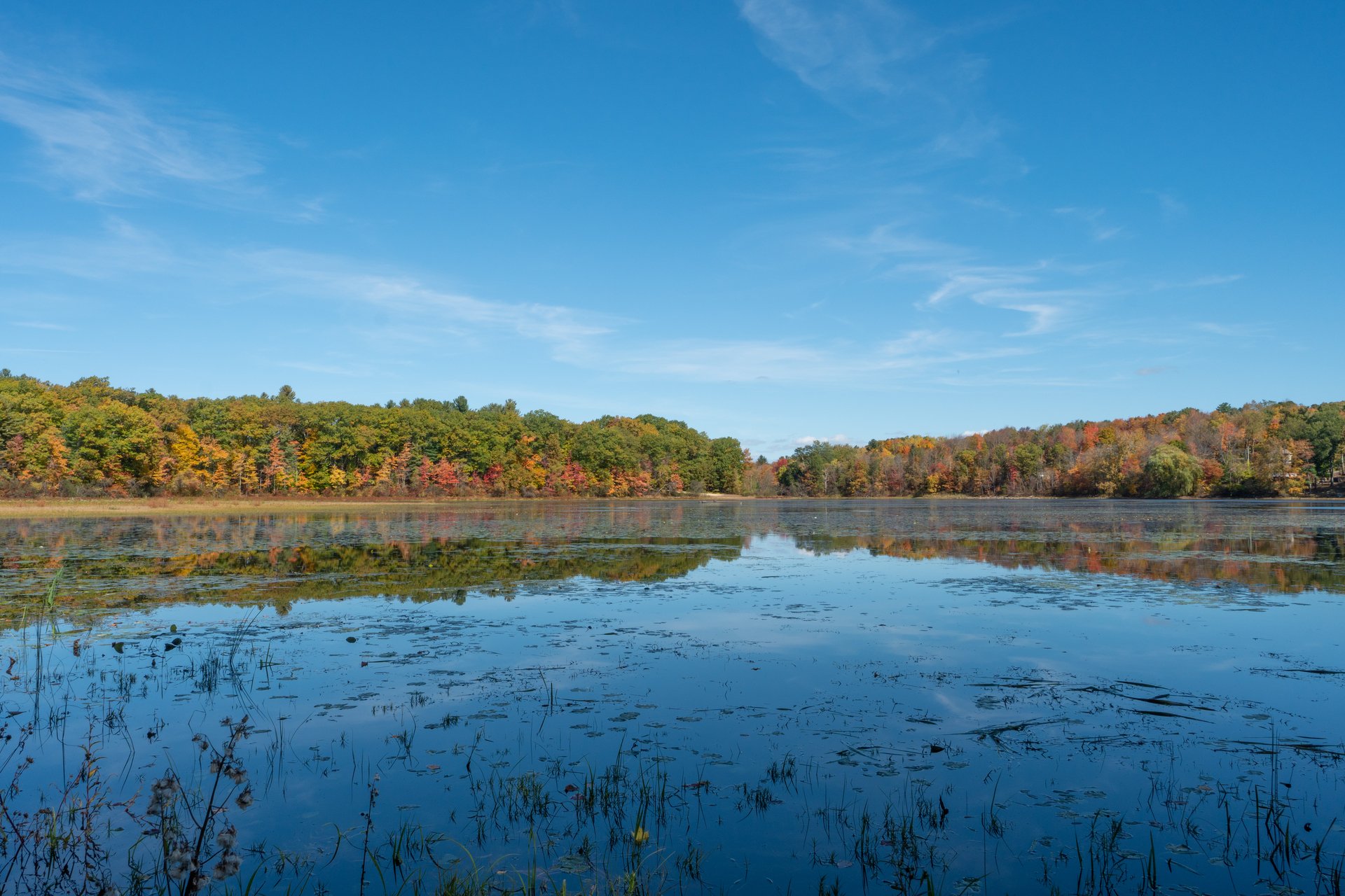 view of lake in fall