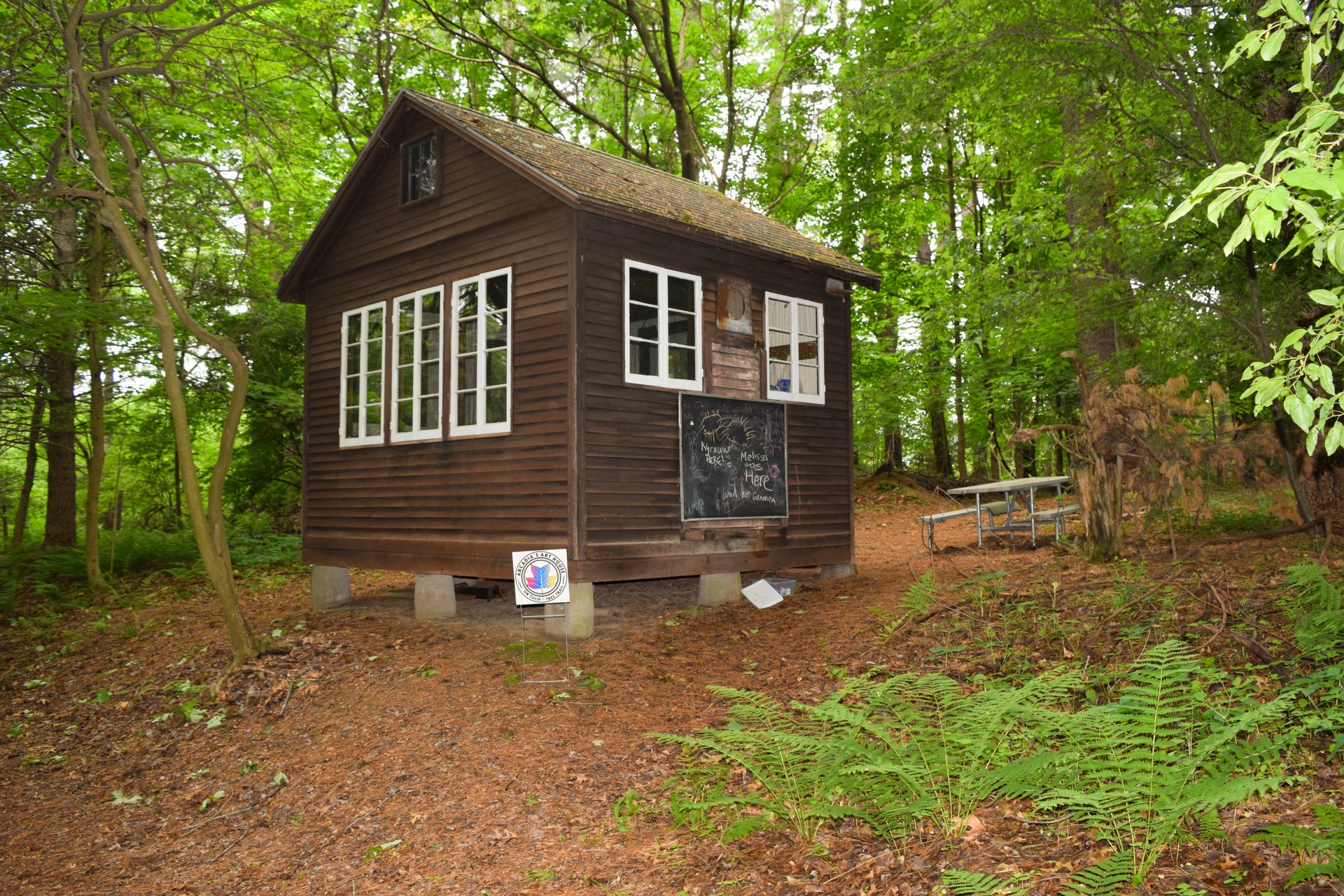 Small brown shed in woods