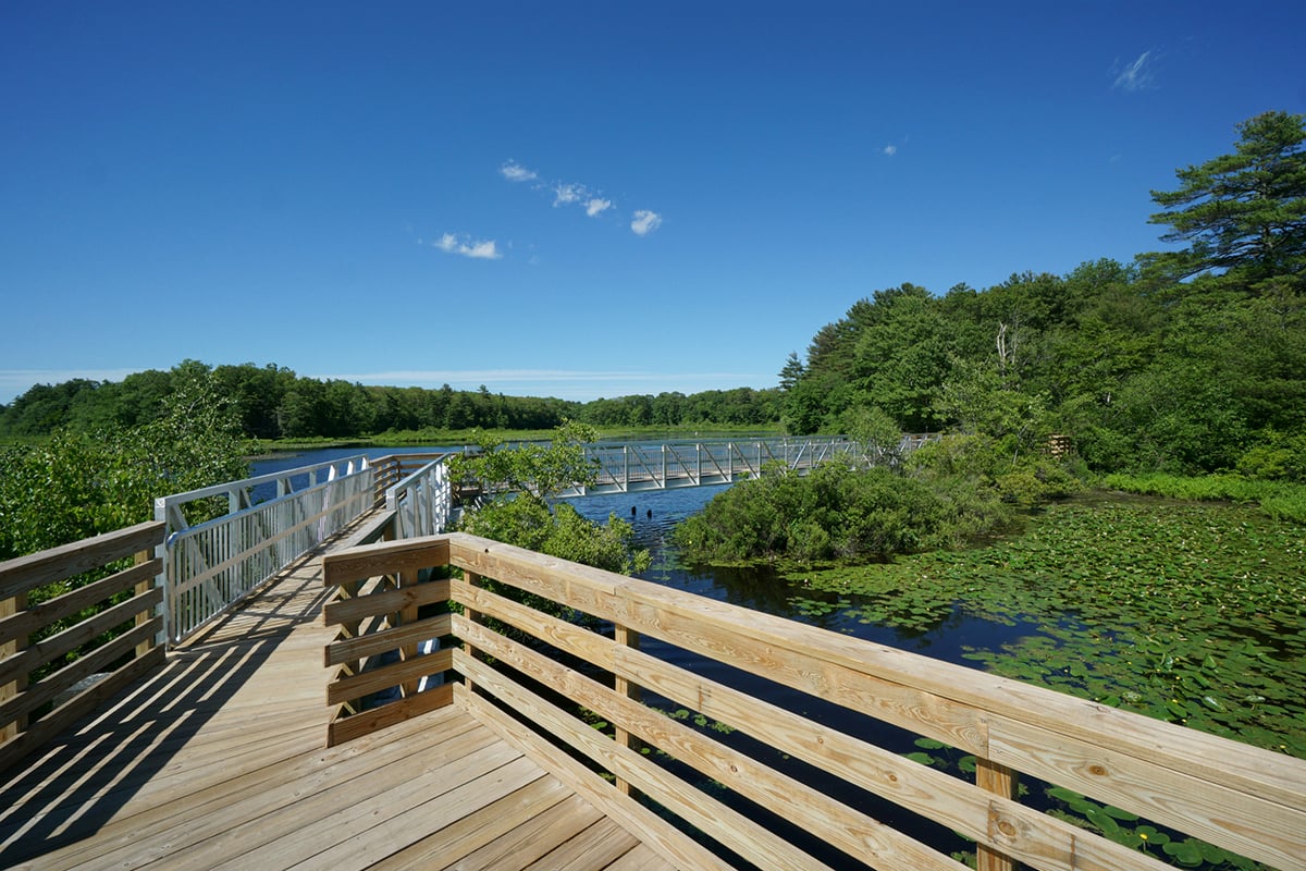 wood and metal boadwalk over water