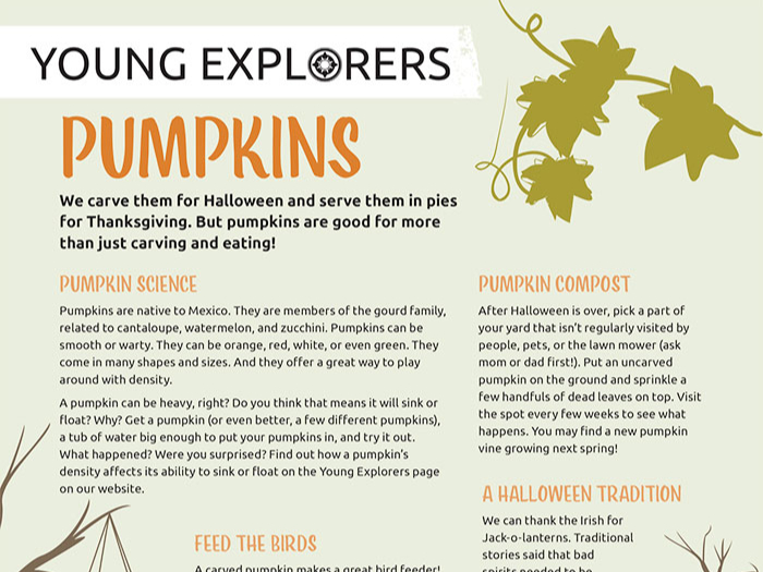 Pumpkins Activity Page