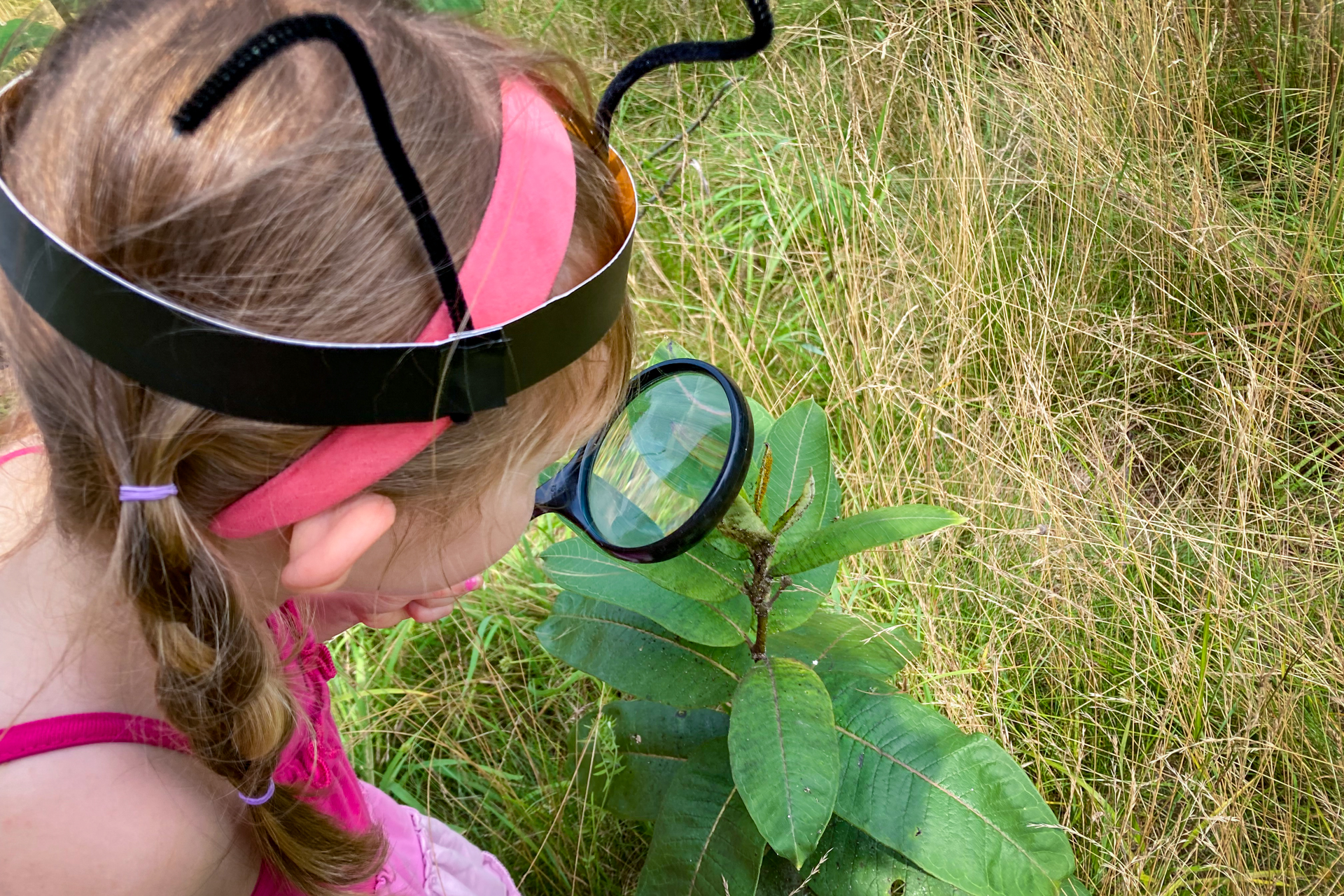 A camper at Habitat Nature Camp, wearing a headband made of paper and pipe cleaners to mimic insect antennae, using a magnifying glass to examine a milkweed plant