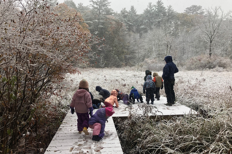 Ten children and an adult standing on an L-shaped boardwalk covered in a dusting of snow. A snowy grassland and forest extends in front of them.