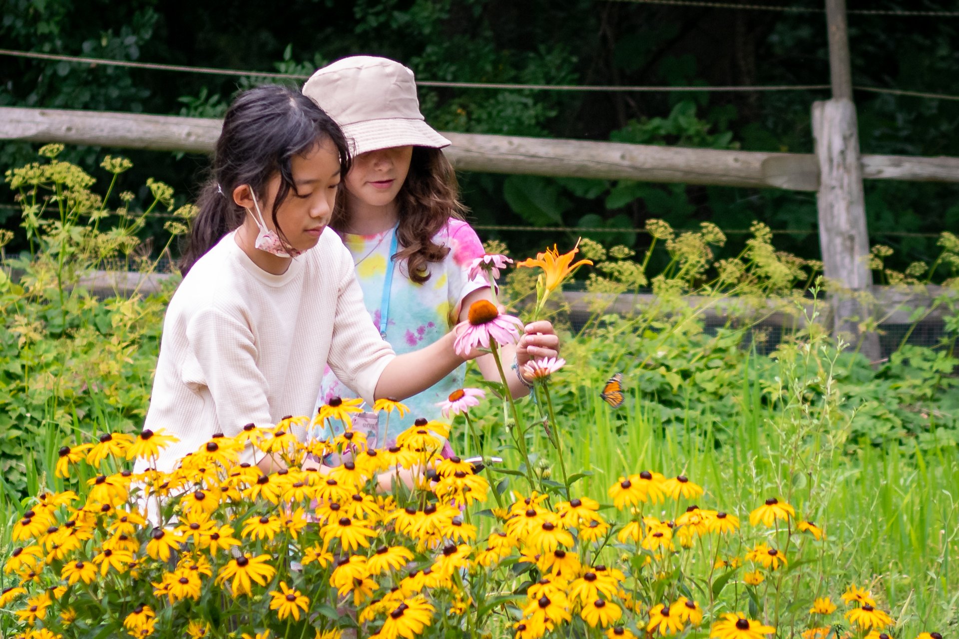 Two young girls, one with a pink hat and the other with a black ponytail, picking yellow and pink flowers.